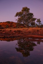 Outback Australia Photos